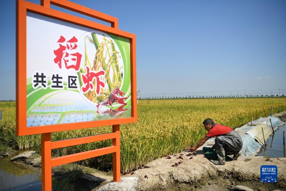 六九游戏李逵捕鱼